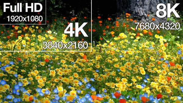 Video Resolutions: 720p vs 1080p vs 2K vs 4K vs 8K - 16656 | MyTechLogy
