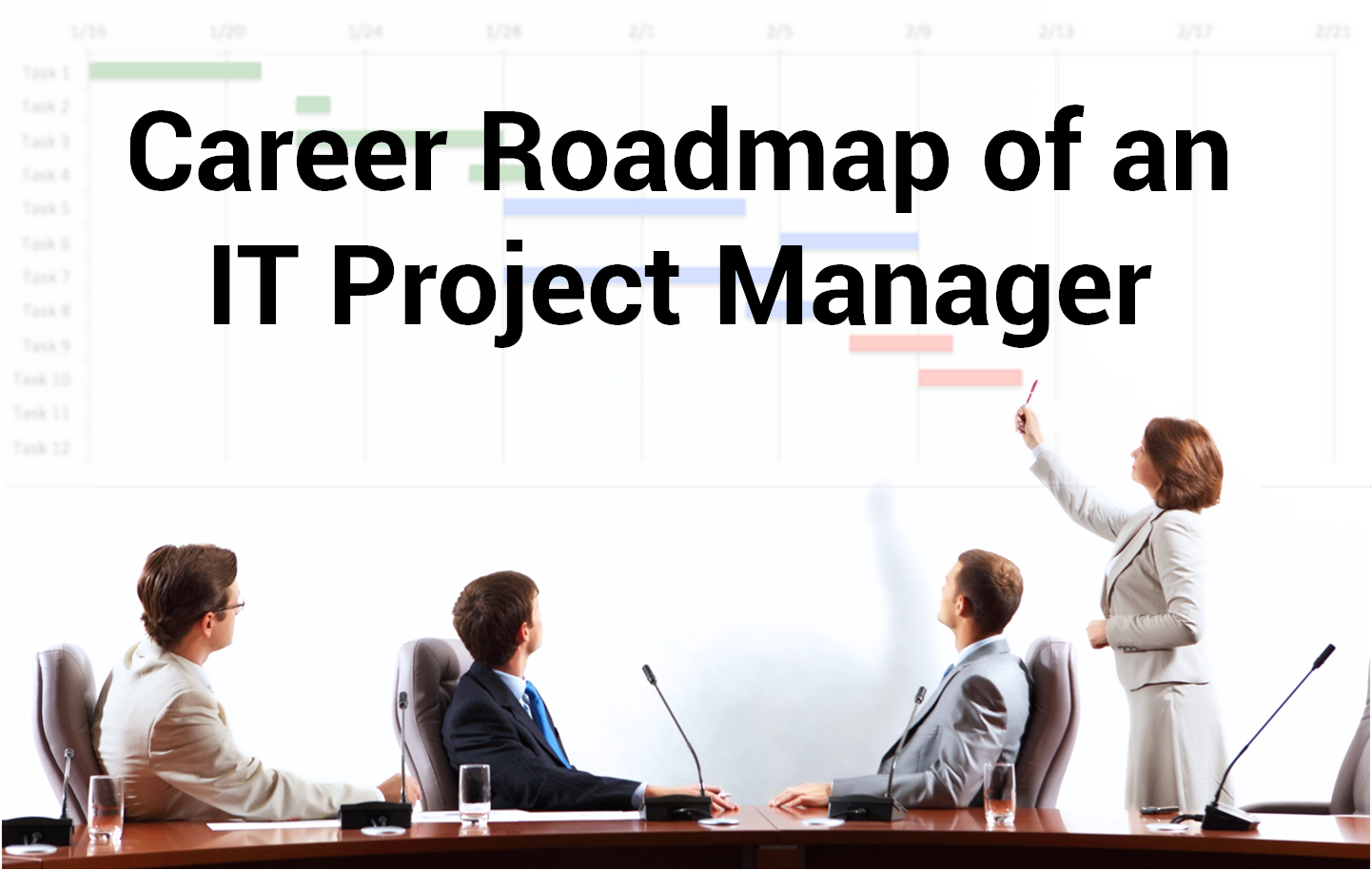 Career Roadmap of an IT Project Manager - Image 1