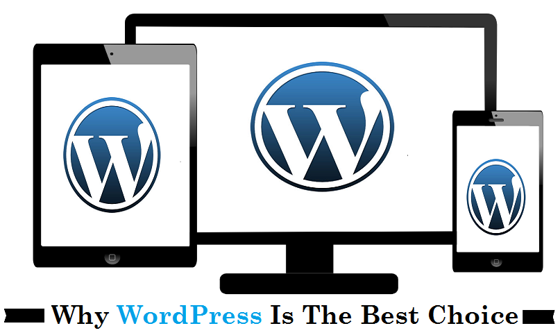 Why WordPress Is The Best Choice - Image 1